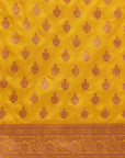Saree Body