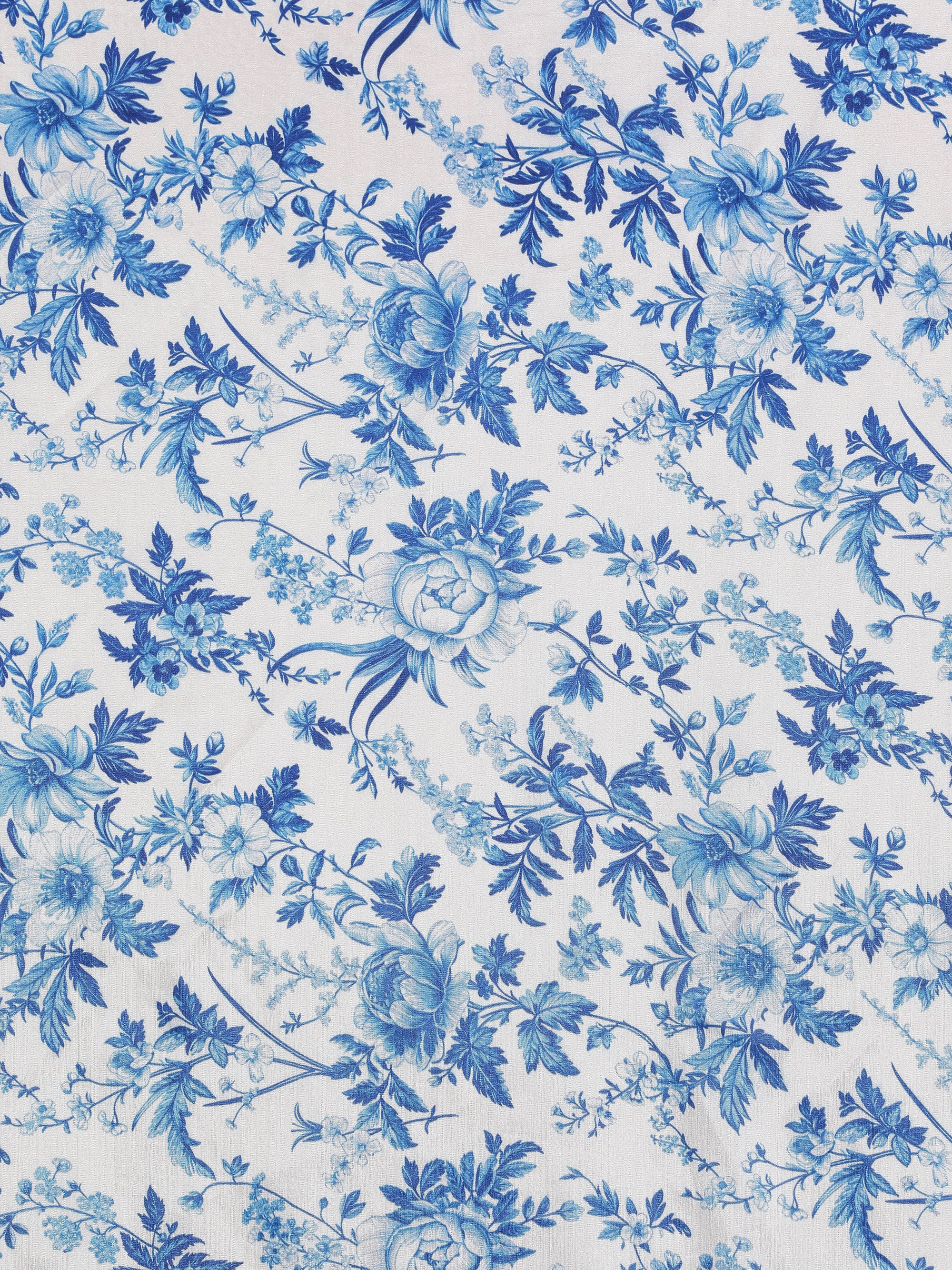 Periwinkle - Cream Blue