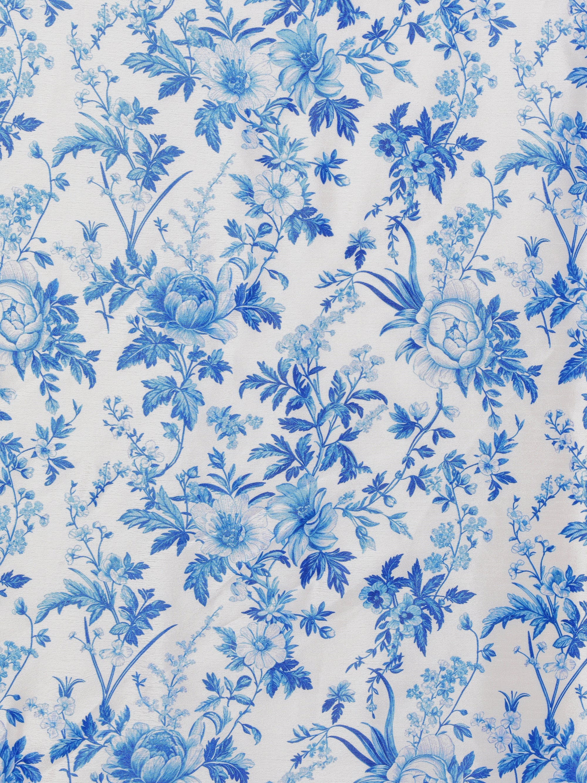 Periwinkle - Cream Blue