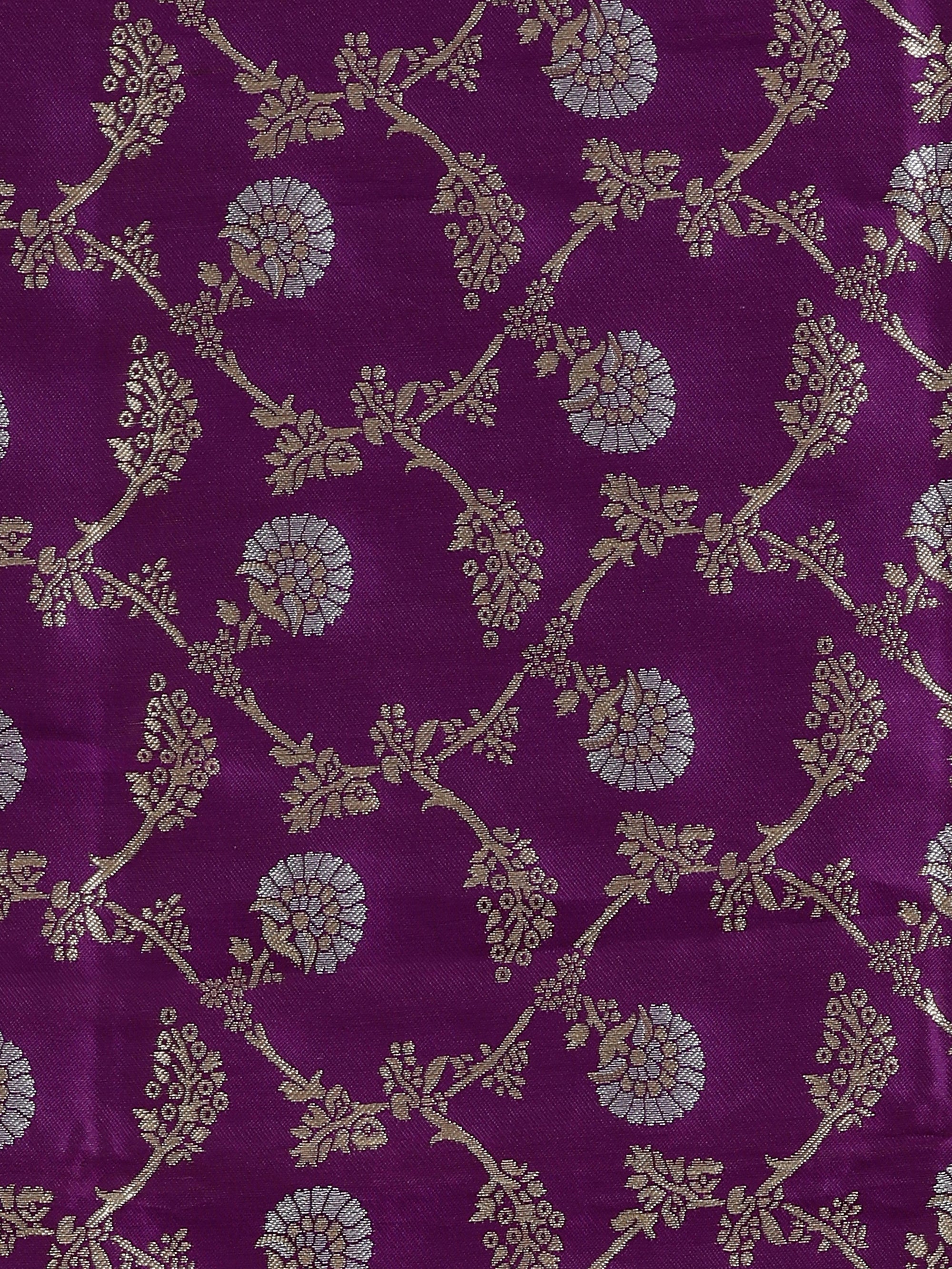 Saree Body
