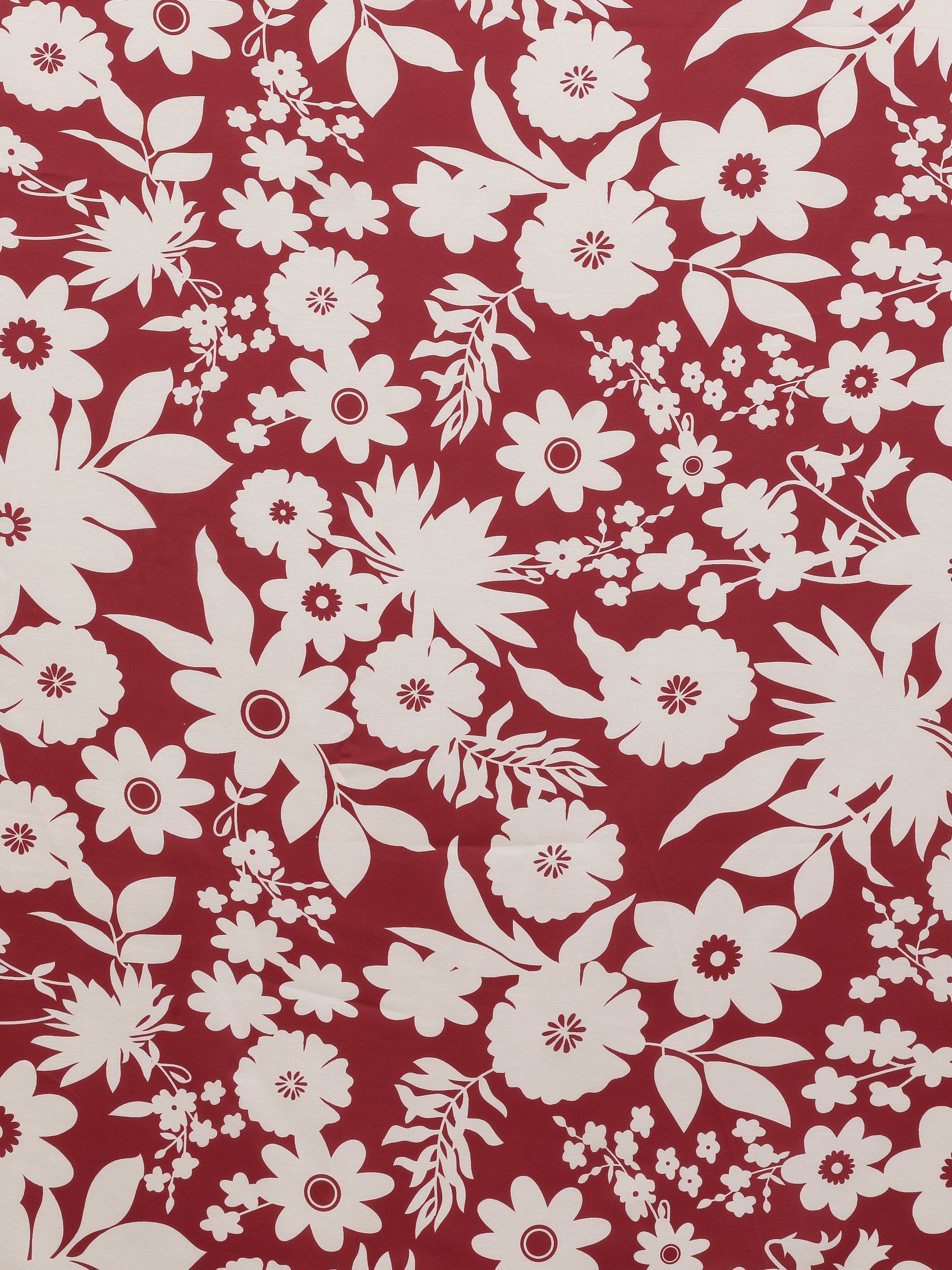 Ixora - Red