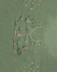 Jubilant Sprigs - Green Gold